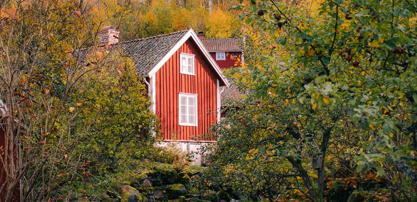 Bild från matevent