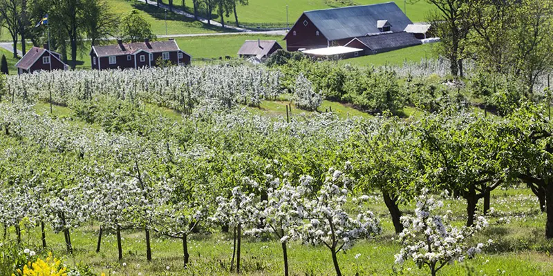 Vy över Rudenstams gård